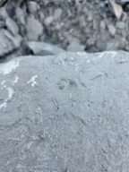 PB-2026-000001 — Field photograph · view 1; open full-size photograph