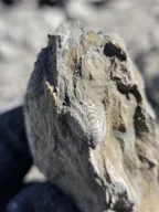 PB-2026-000005 — Field photograph · view 1; open full-size photograph